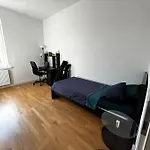 Genesis Gaj
